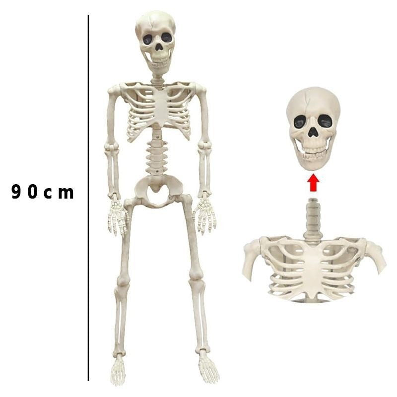 Halloween-Skelett – 90 cm